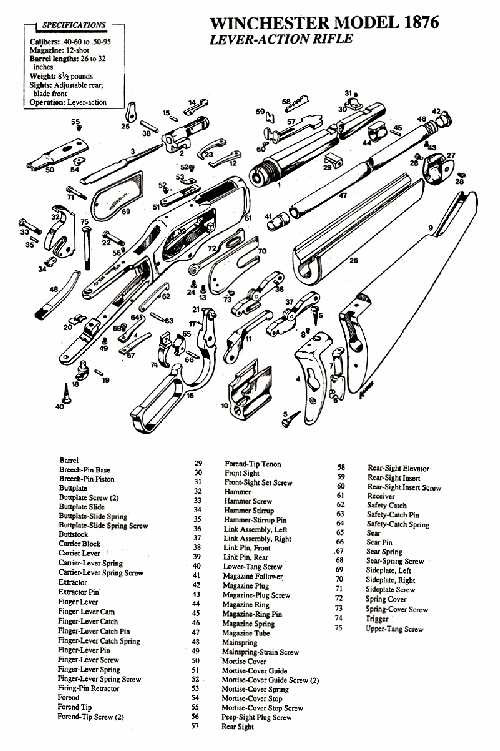 1873 winchester parts diagram