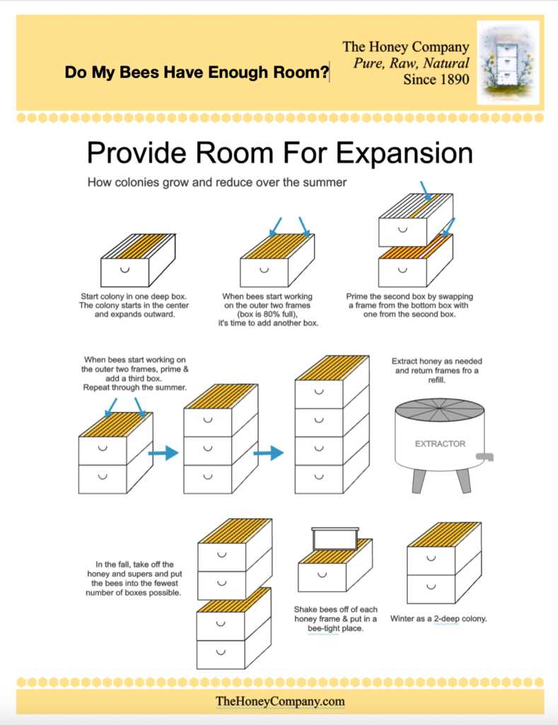 beehive parts diagram