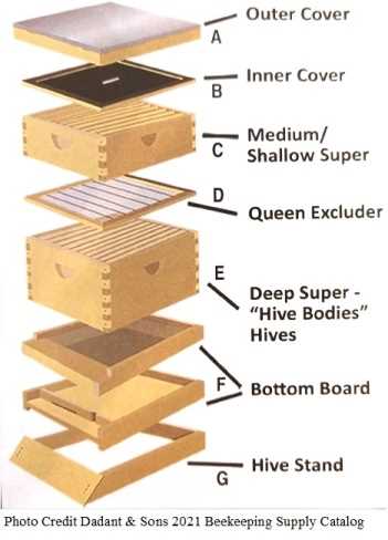 beehive parts diagram