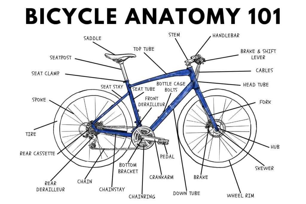 bicycle seat parts diagram