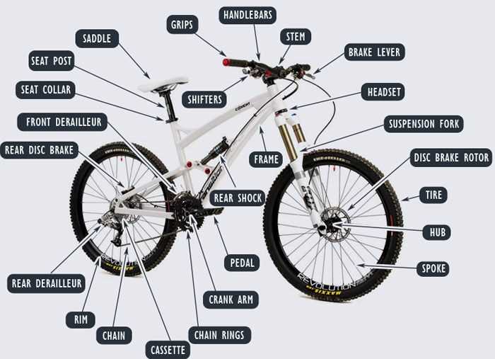 bike part diagram