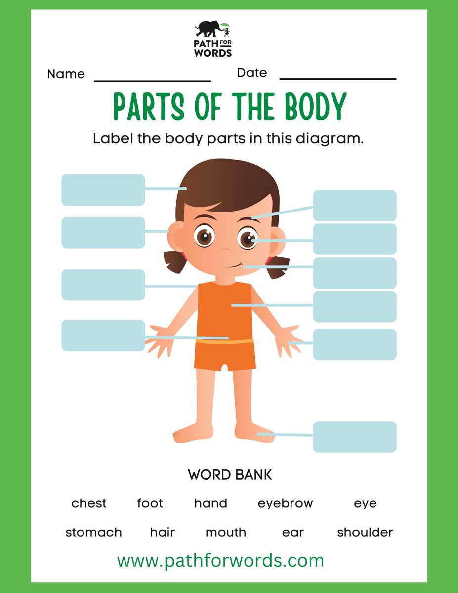 body parts diagram with names