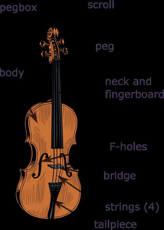 cello parts diagram