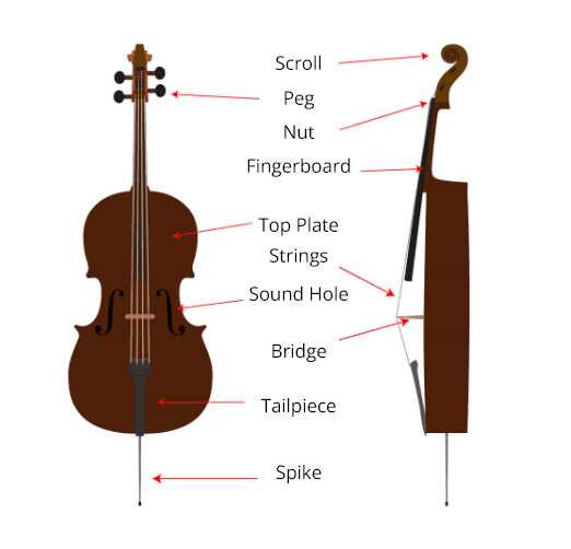 cello parts diagram