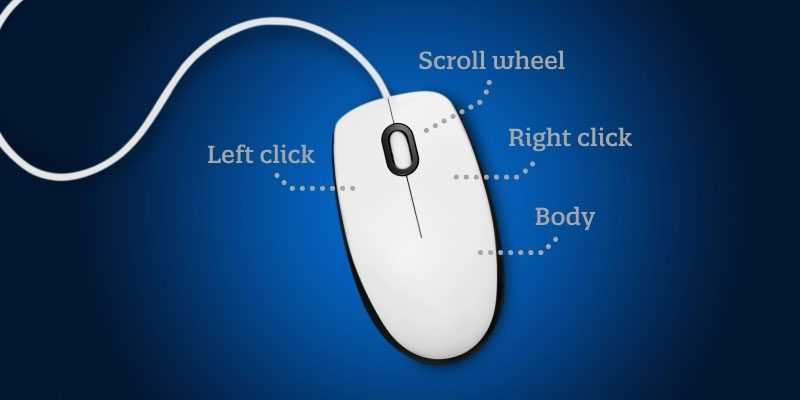 computer mouse parts diagram