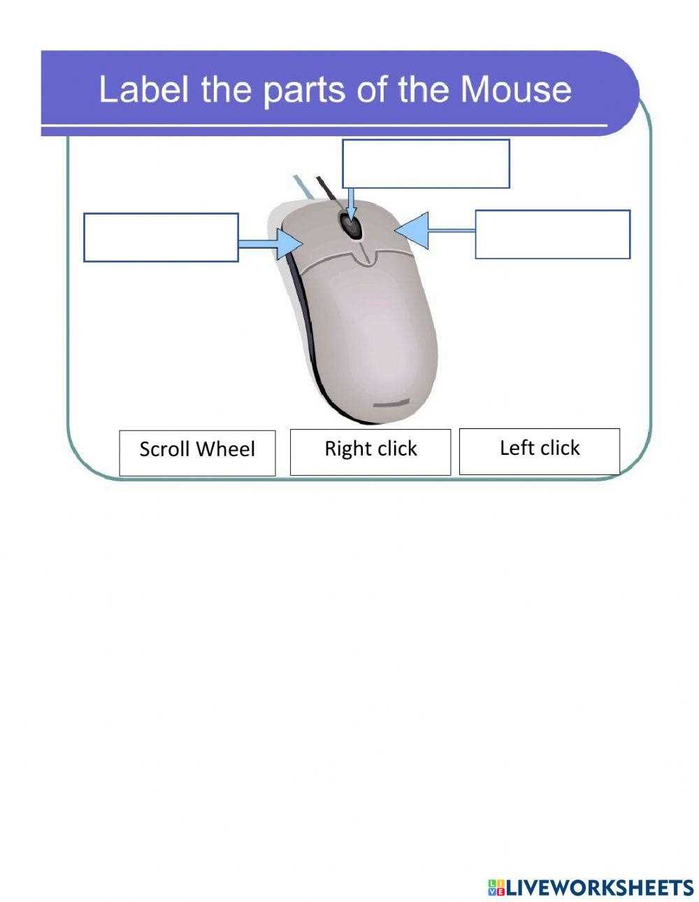 computer mouse parts diagram