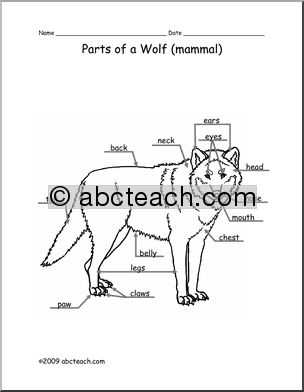 cva wolf parts diagram