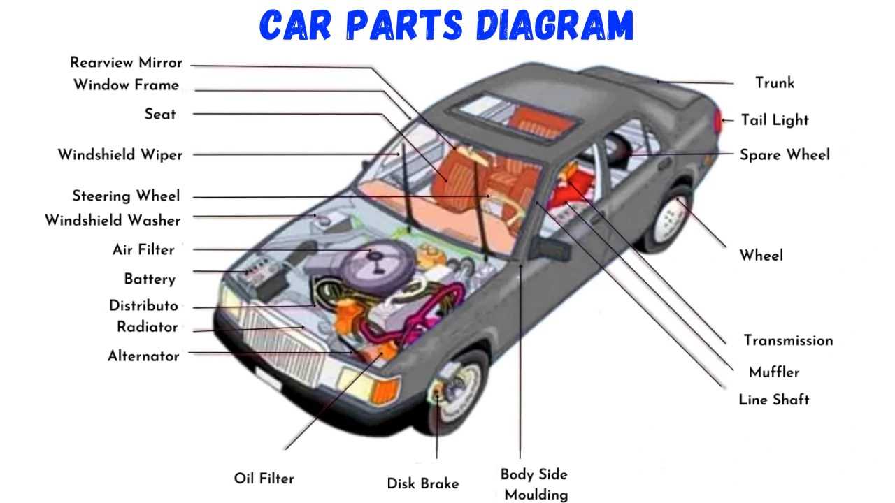 exterior car body parts names diagram