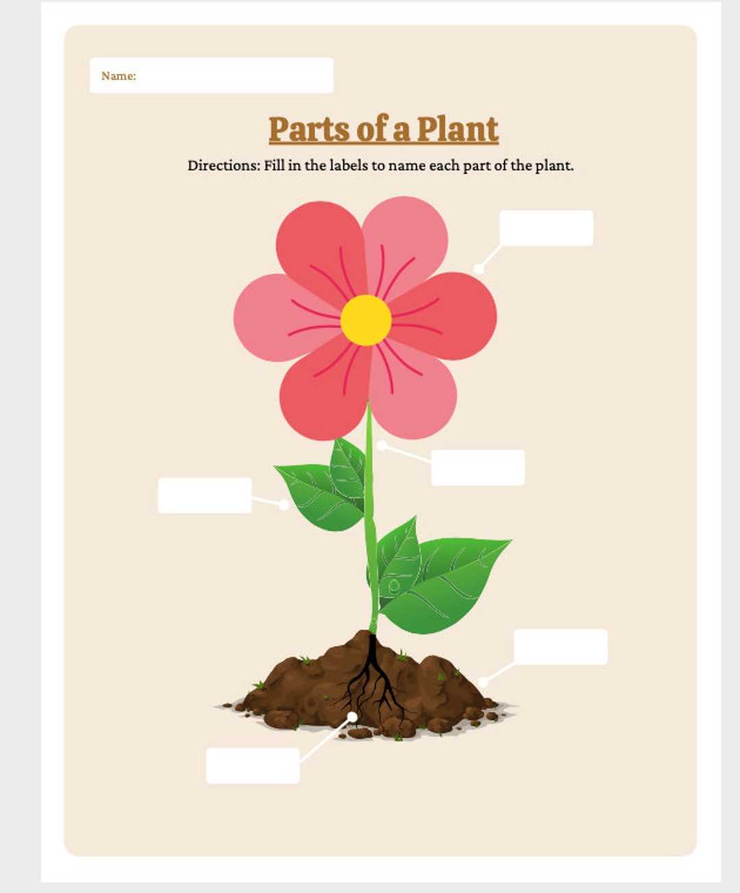 flower parts diagram worksheet