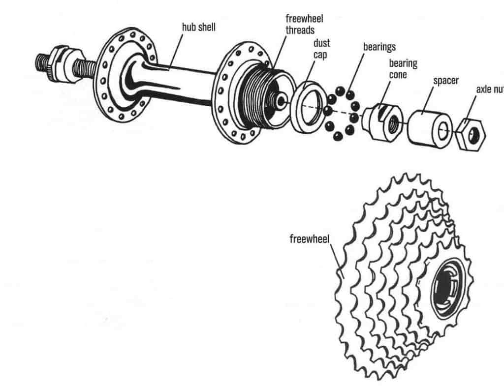 freewheel parts diagram