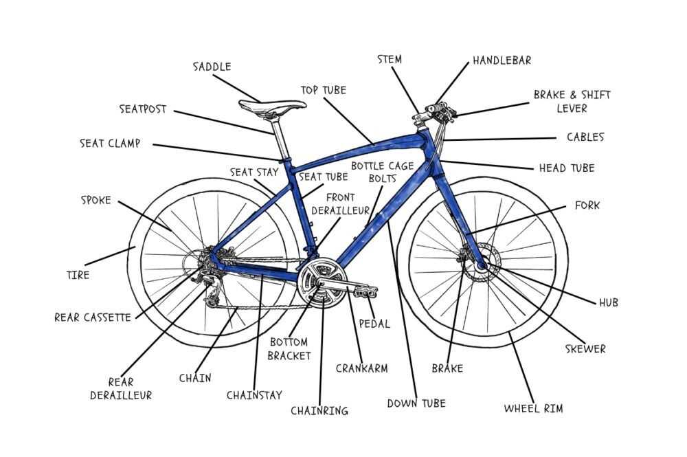 names of bike parts diagram