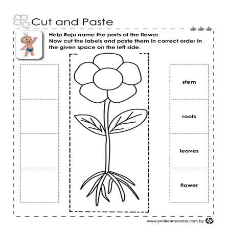 parts of a flower diagram worksheet