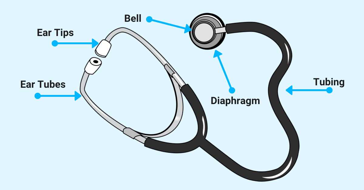 parts of stethoscope with diagram