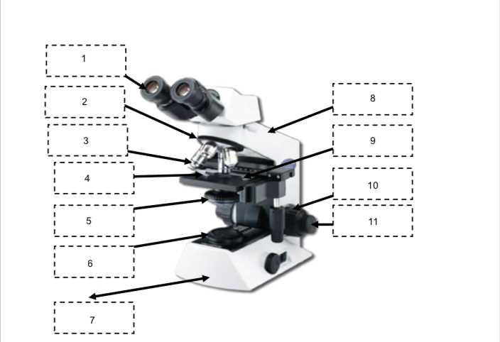 parts of the microscope diagram