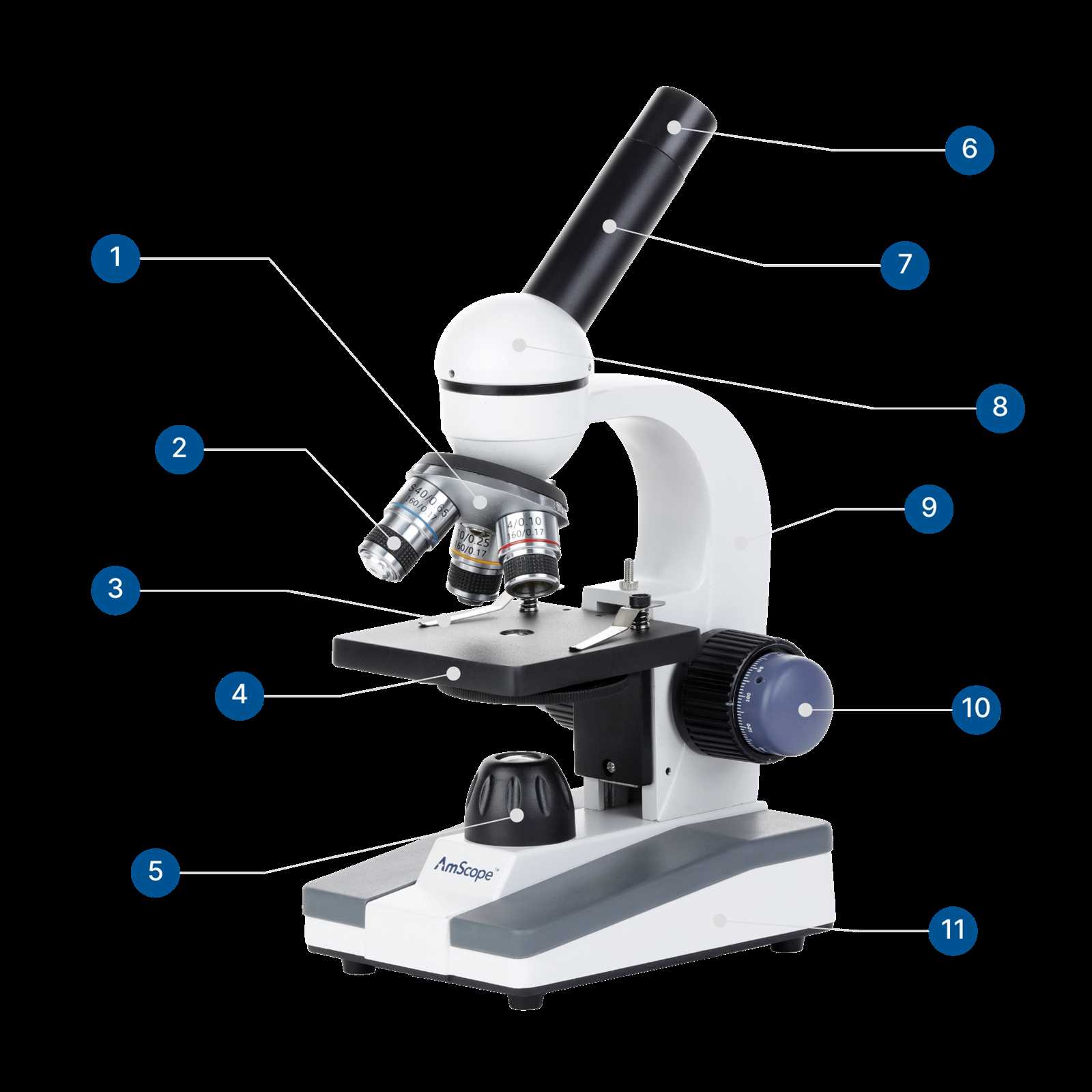 parts of the microscope diagram