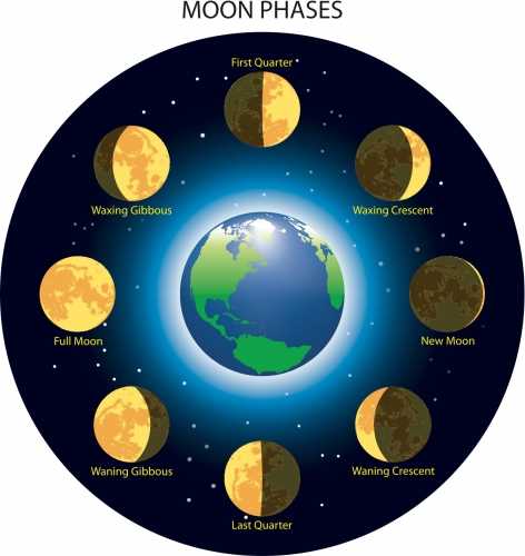 parts of the sun diagram