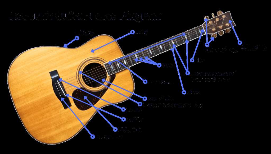parts of a acoustic guitar diagram