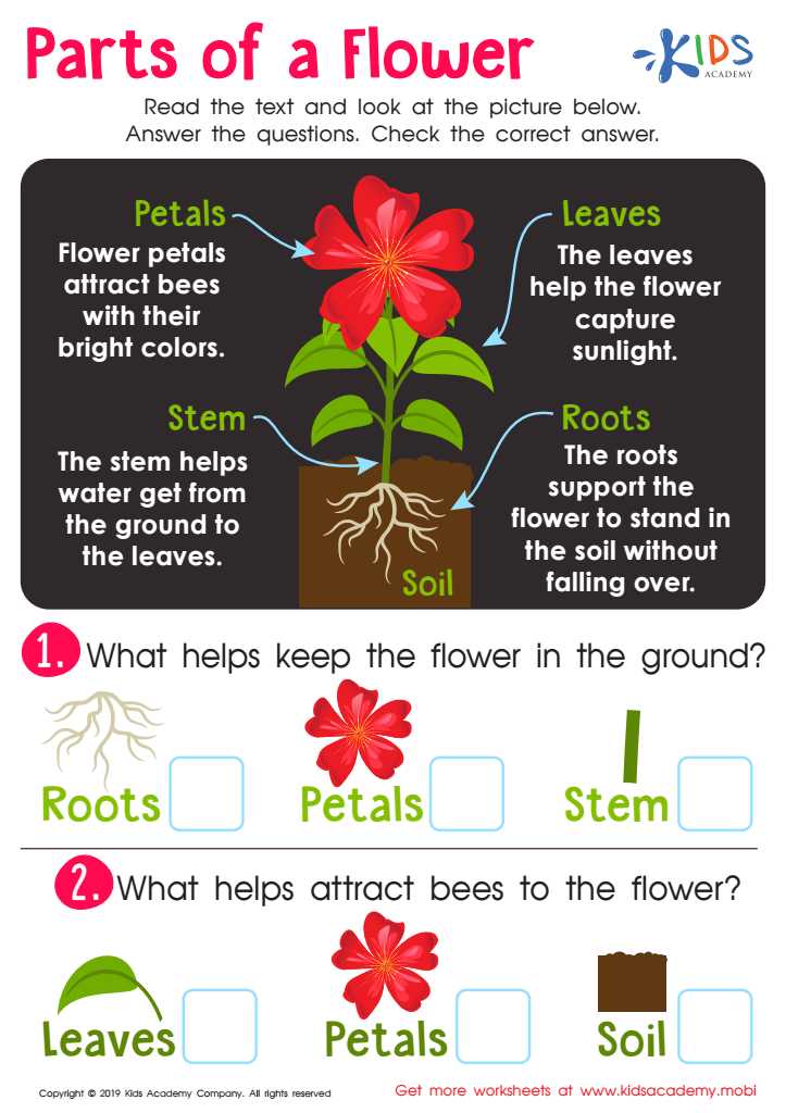 flower parts diagram worksheet