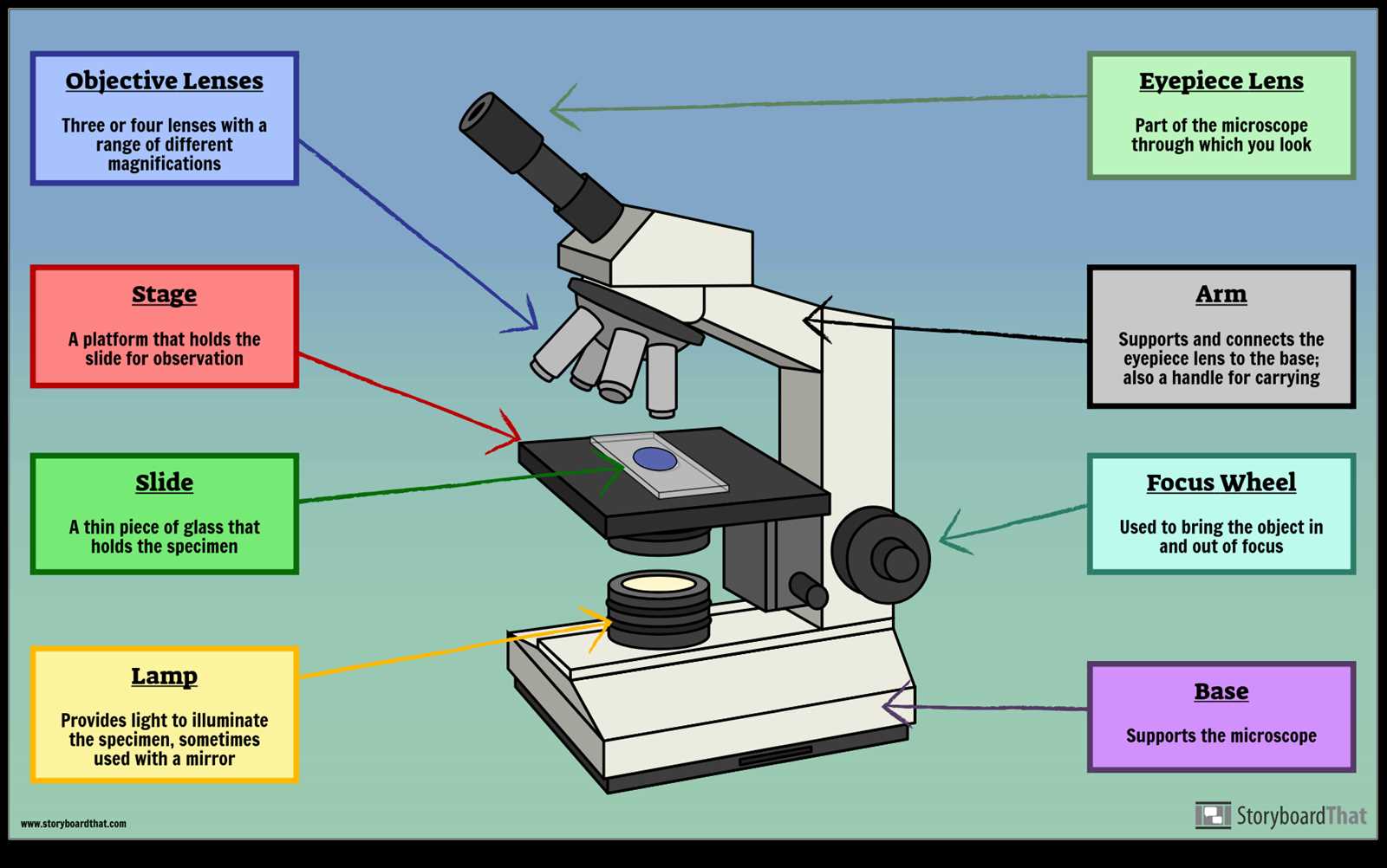 parts of the microscope diagram