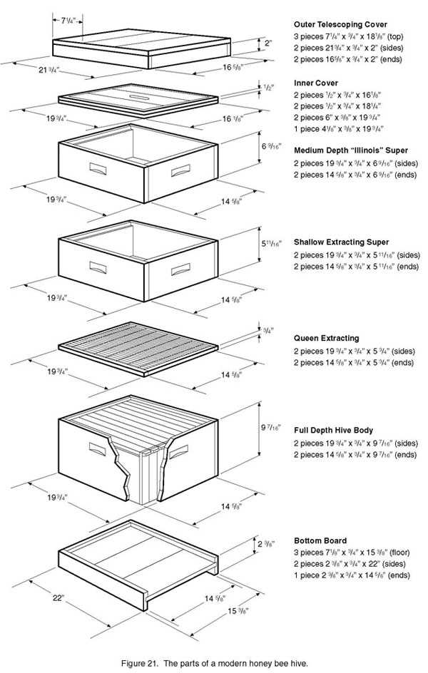 beehive parts diagram