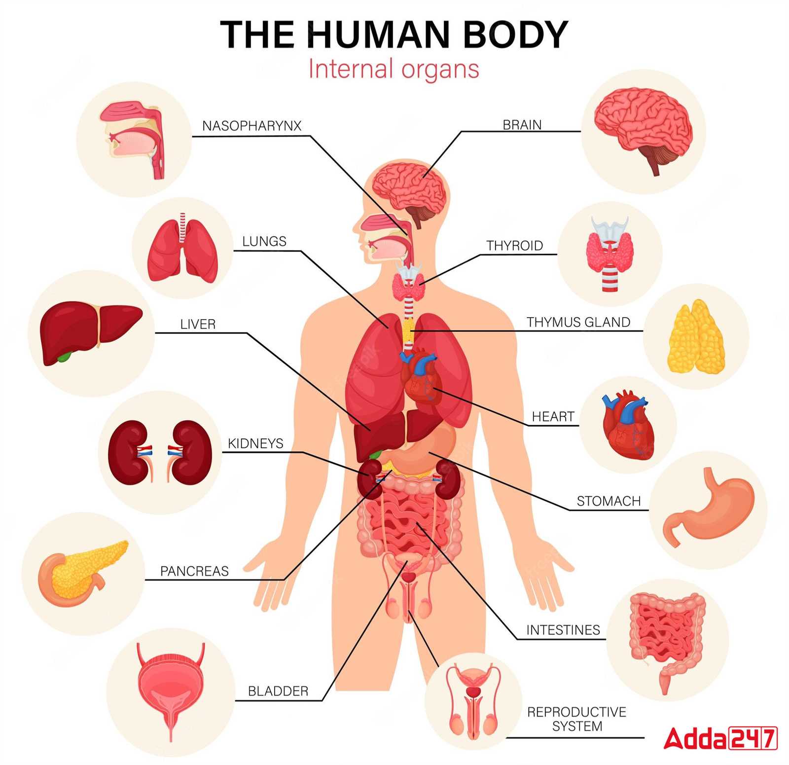 car body parts names diagram