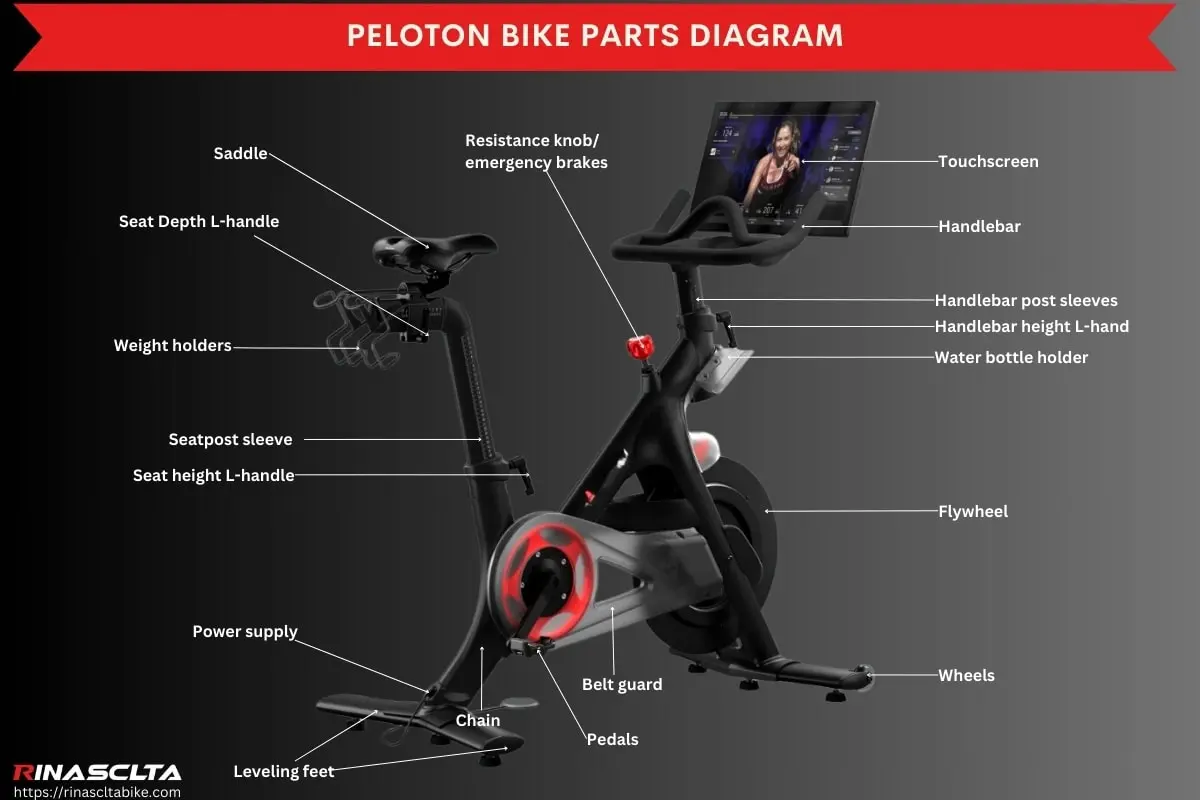 bike headset parts diagram