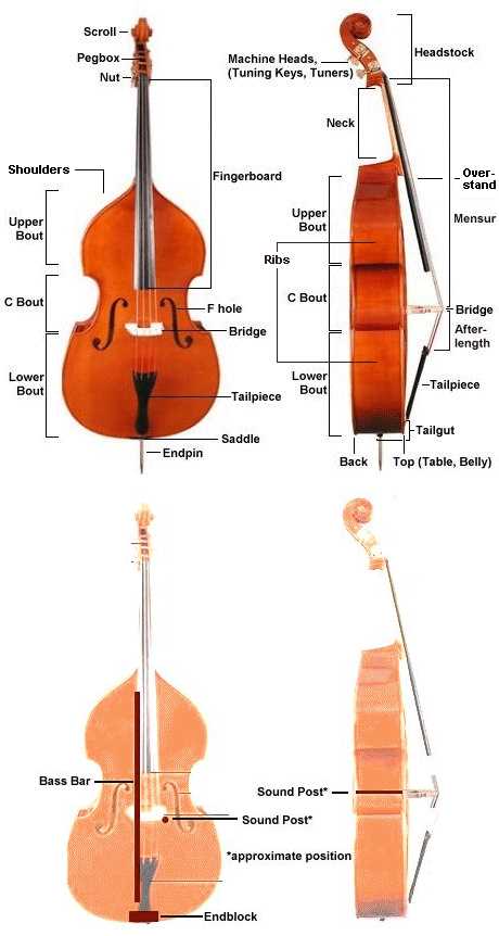 cello parts diagram