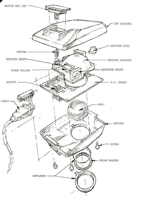 computer mouse parts diagram