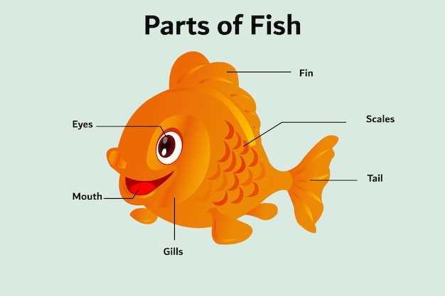 diagram of a fish and its parts