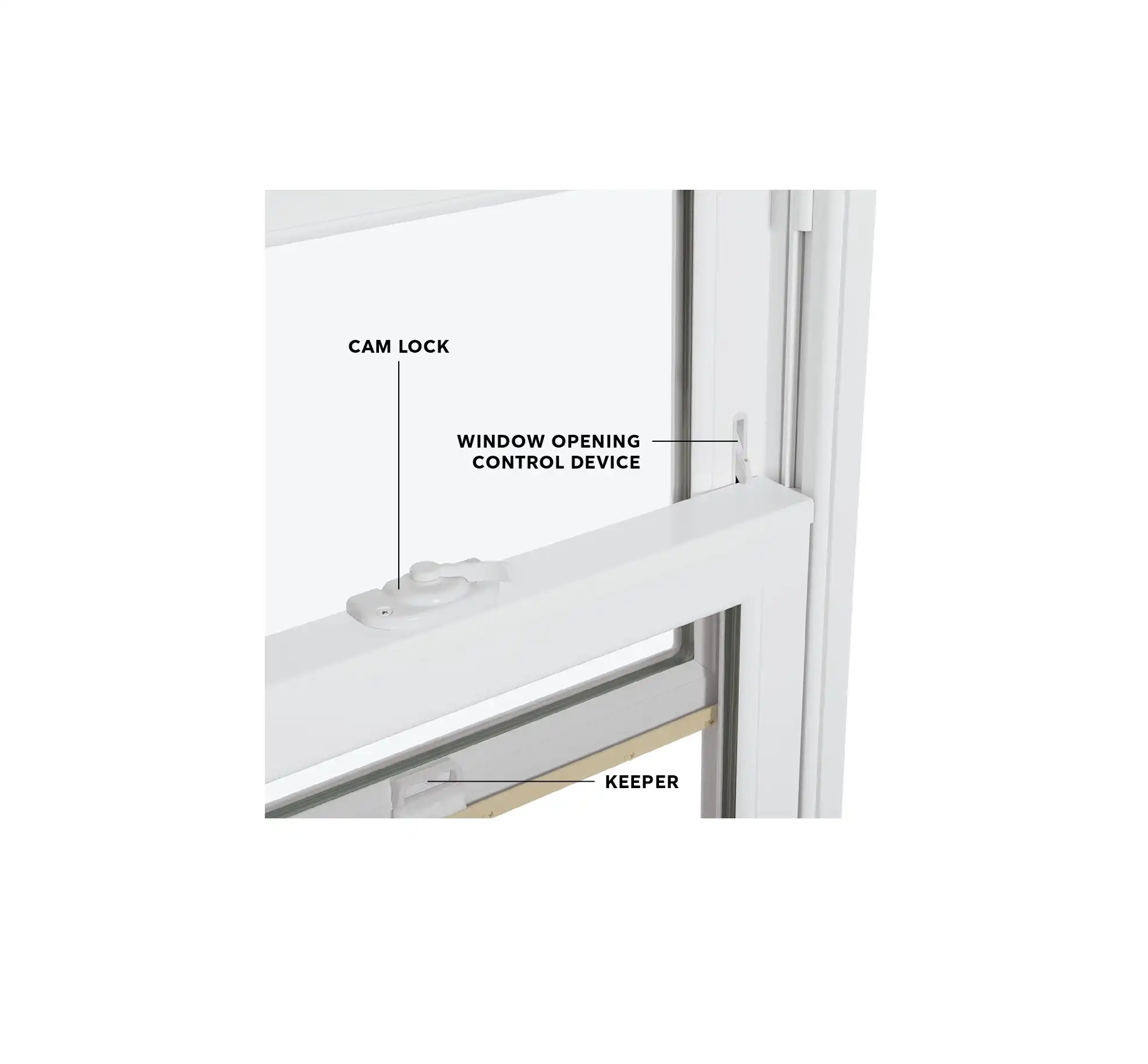 double hung window parts diagram