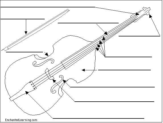 double bass parts diagram