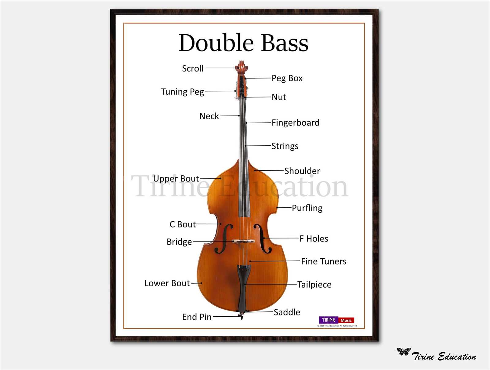 double bass parts diagram