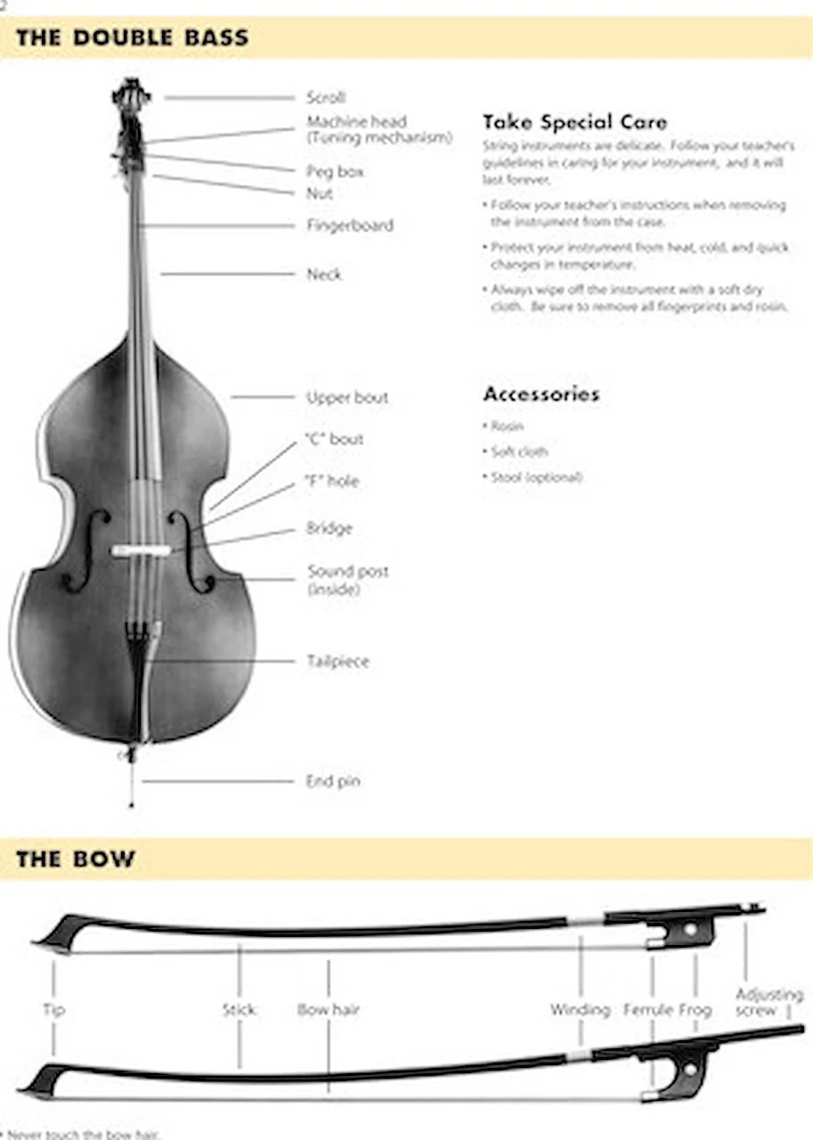 double bass parts diagram