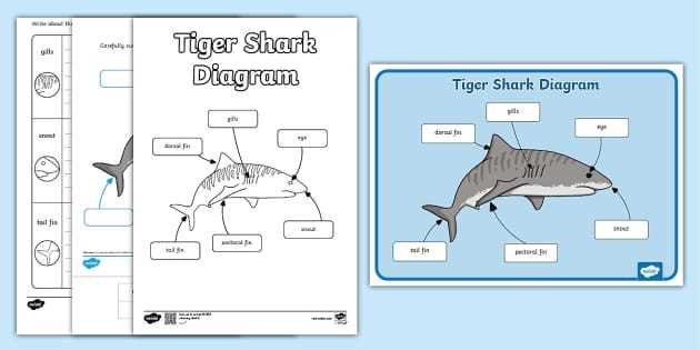 tigershark parts diagram