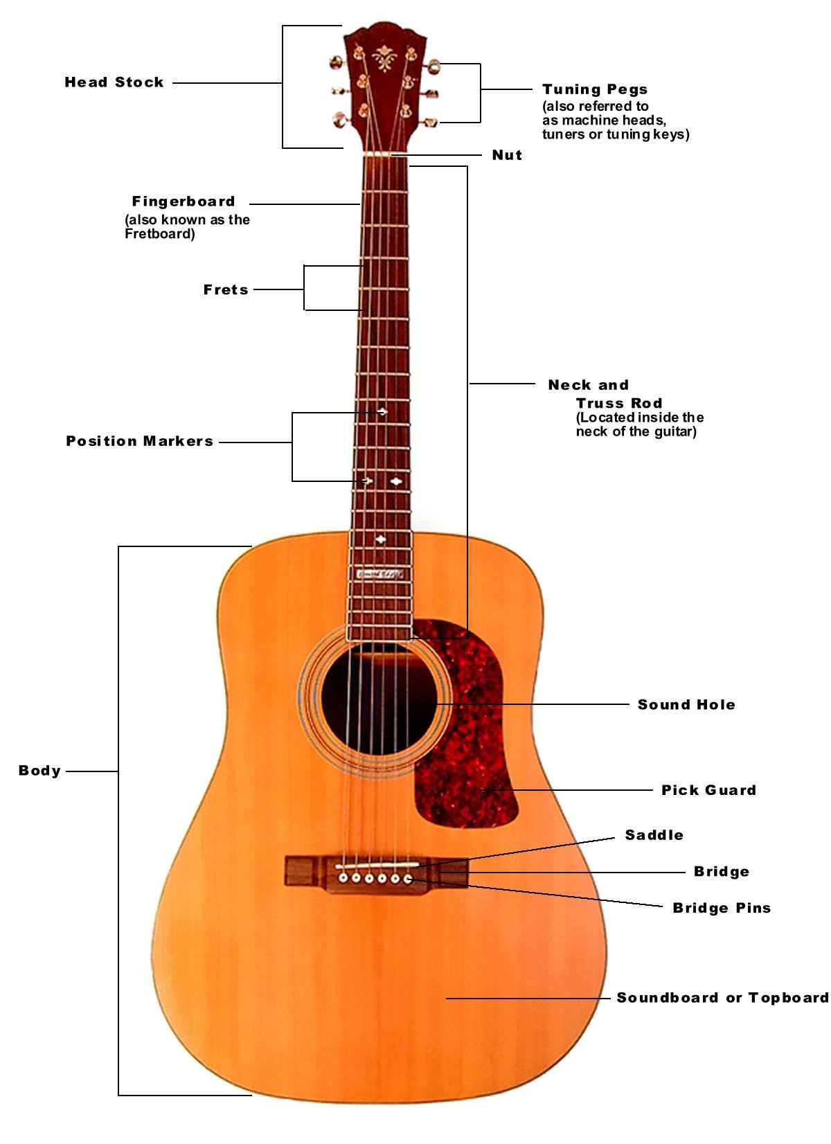 parts of a acoustic guitar diagram