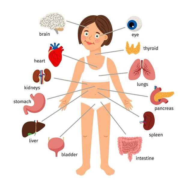 female body parts diagram with names