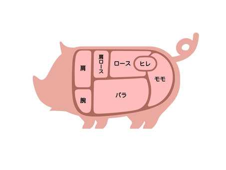 pork meat parts diagram