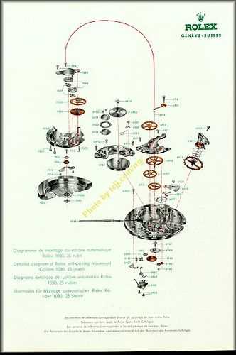 rolex parts diagram