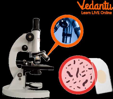 parts of the microscope diagram