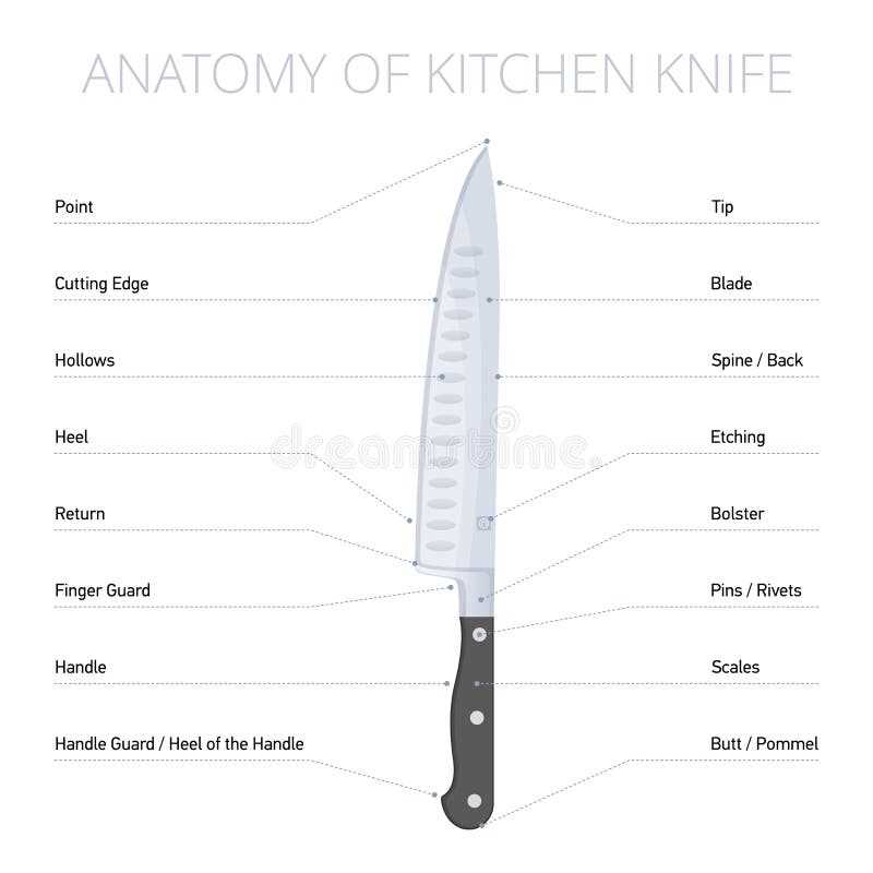 folding knife parts diagram