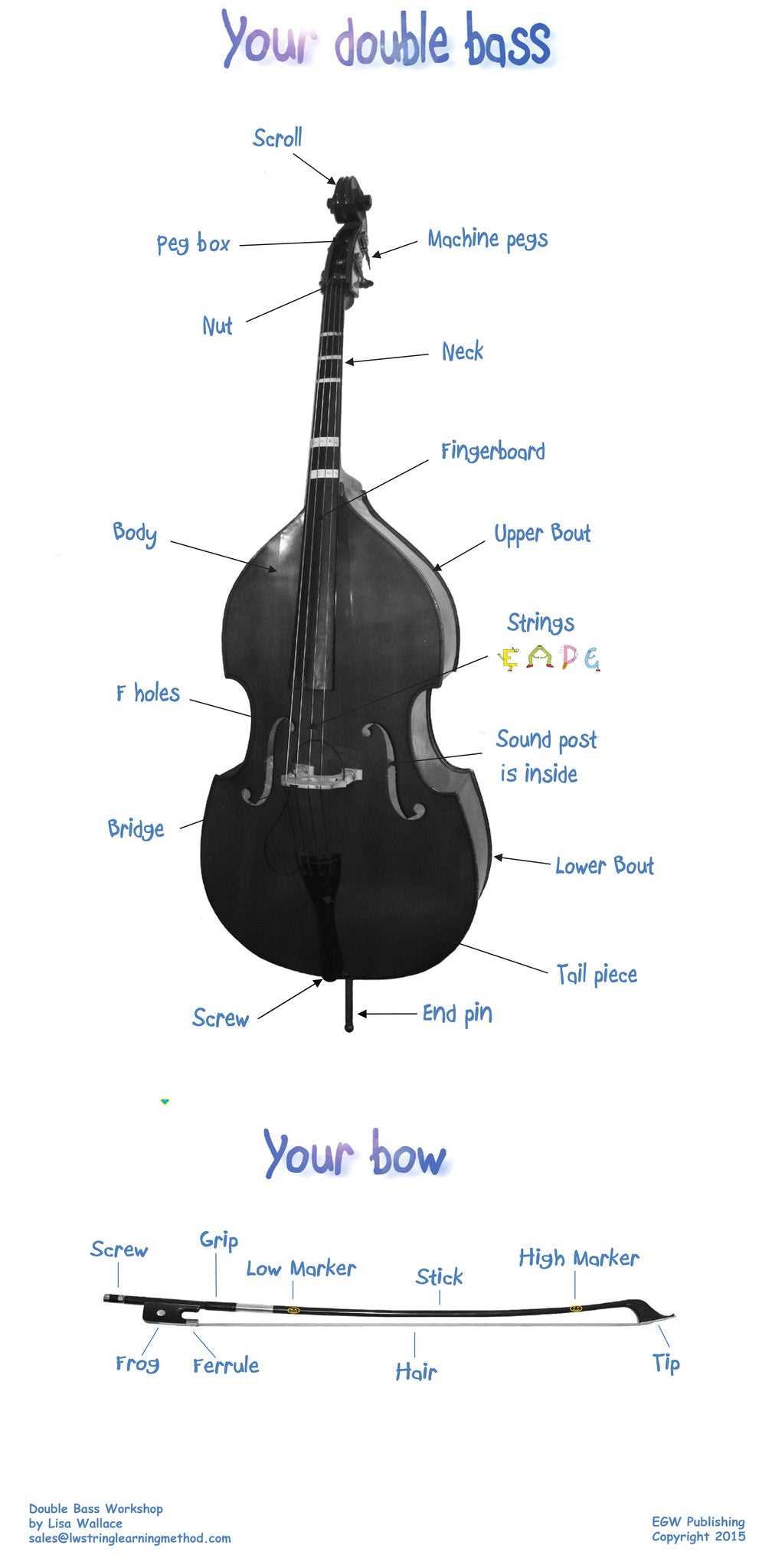 double bass parts diagram