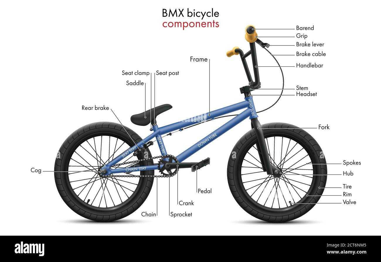 mountain bike parts diagram