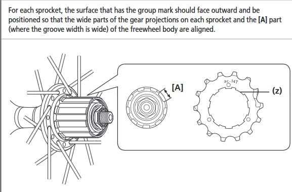 freewheel parts diagram