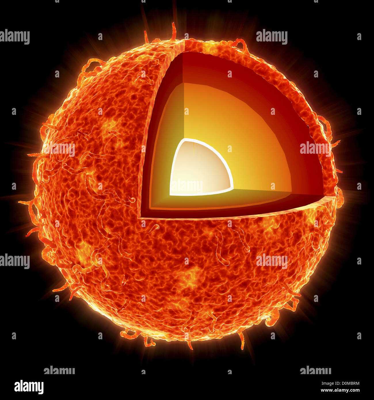 parts of the sun diagram