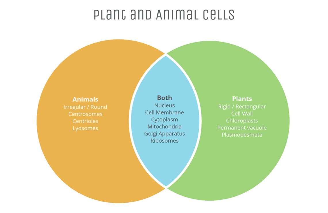 trees and body parts venn diagram