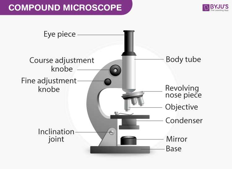 parts of the microscope diagram