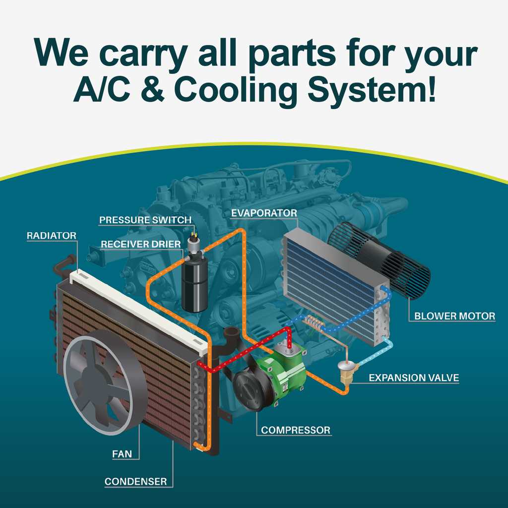 international 244 parts diagram