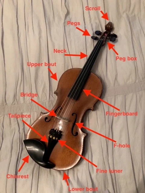 cello parts diagram