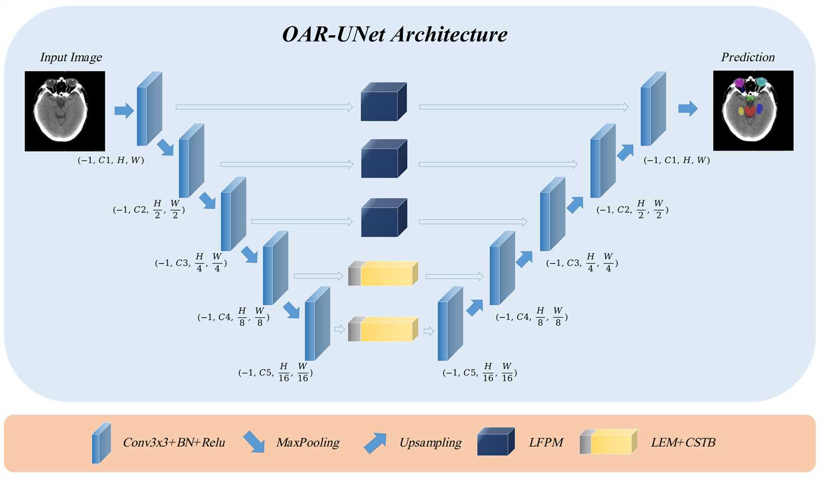 parts of an oar diagram