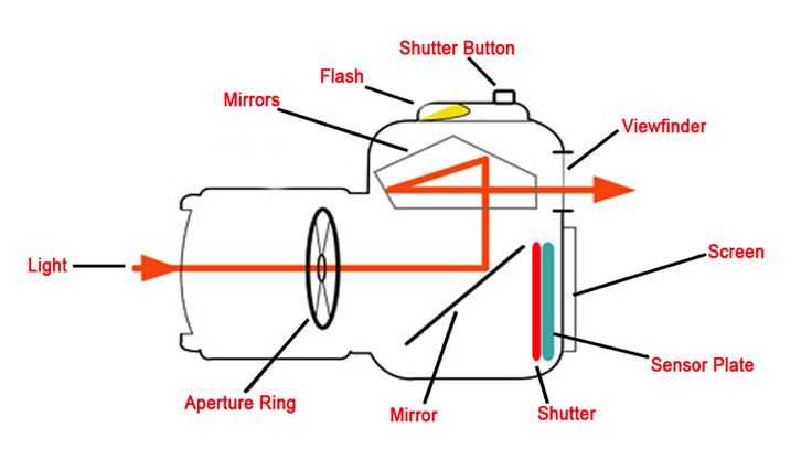 dslr parts diagram